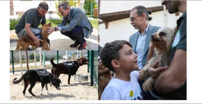 Beşikçioğlu sözünü tuttu: 5 sokak köpeği belediyede görevlendirildi