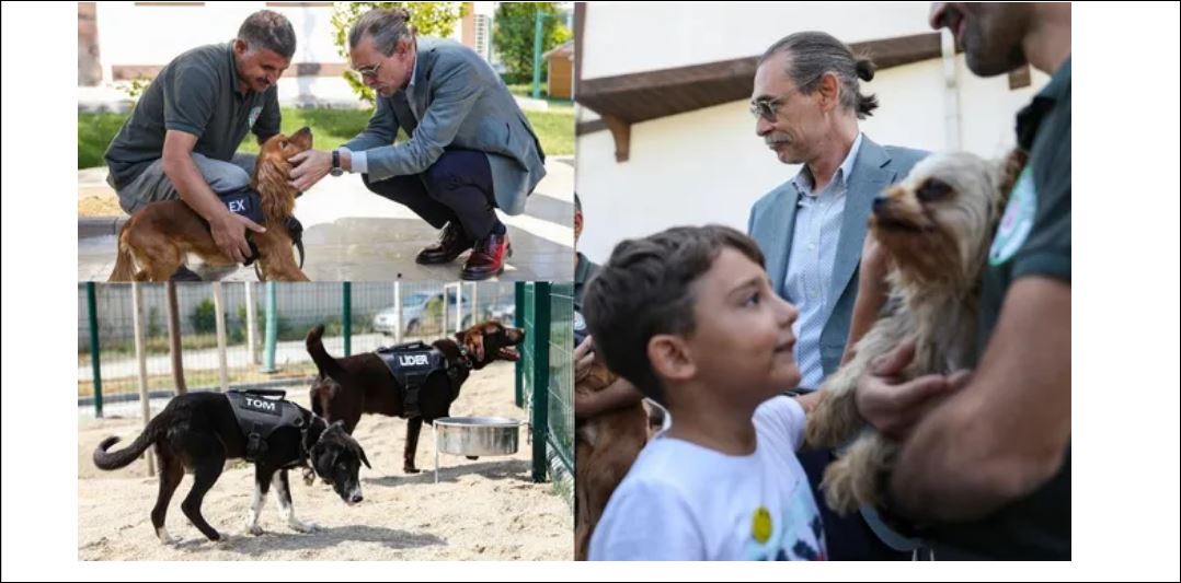 Beşikçioğlu sözünü tuttu: 5 sokak köpeği belediyede görevlendirildi